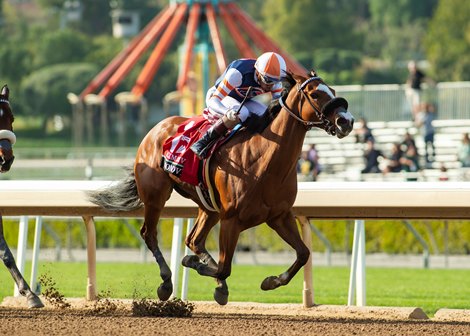 Little Red Feathers Racing&#39;s Elm Drive and jockey Ramon Vazquez win the $200,000 Monrovia Stakes Saturday, April 8, 2023 at Santa Anita Park, Arcadia, CA.<br><br />
Benoit Photo