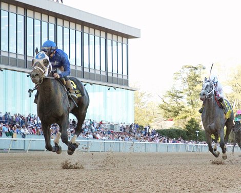 Wet Paint wins the Fantasy Stakes on Saturday, April 1, 2023 at Oaklawn Park