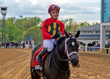 Cats Inthe Timber wins 2023 Weber City Miss Stakes at Laurel Park