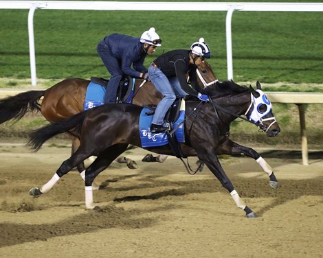 Wet Paint (Outside) - The Alys Look - (Inside) - Work - Churchill Downs - 041423