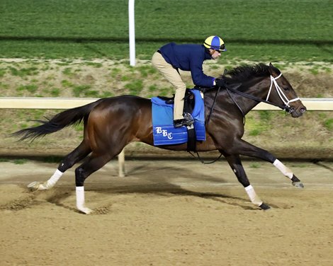 Jace&#39;s Road - Work - Churchill Downs - 04-08-23