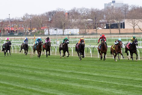 Twenty Six Black  (#3) - Maiden Win, Aqueduct, April 7, 2023<br>
First turf race of the season