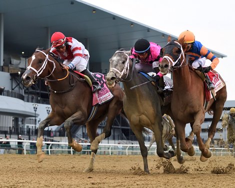 Lord Miles wins the 2023 Wood Memorial at Aqueduct