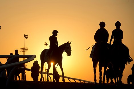 Morning training at Woodbine Racecourse on April 21, 2023