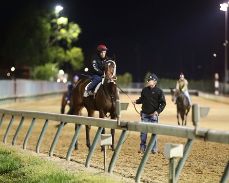 Wild on Ice - Work - Churchill Downs - 041723