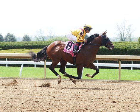 American Rascal - Maiden Win, Keeneland, April 20. 2023