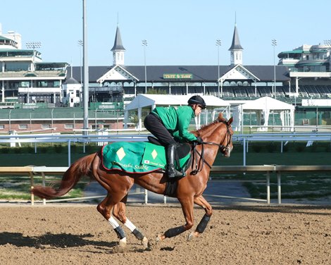 Derma Sotogake - Gallop - Churchill Downs - 04-11-23