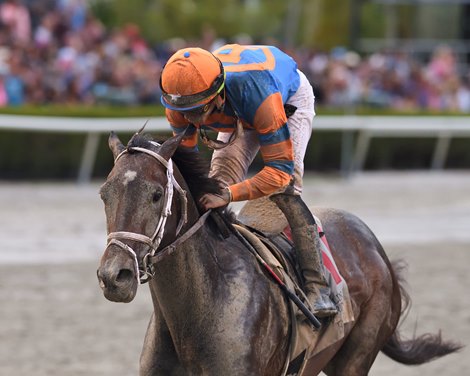 Forte wins the Florida Derby on Saturday, April 1, 2023 at Gulfstream Park