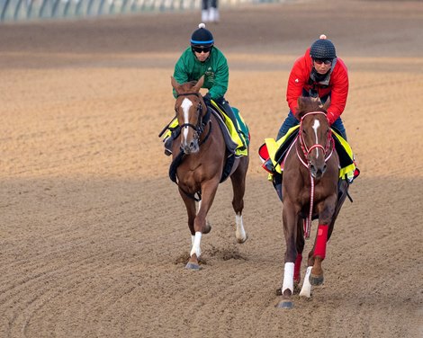 (L-R); Derma Sotogake and Continuar<br><br />
Horses training at Churchill Downs in Louisville, Ky., on April 26, 2023.