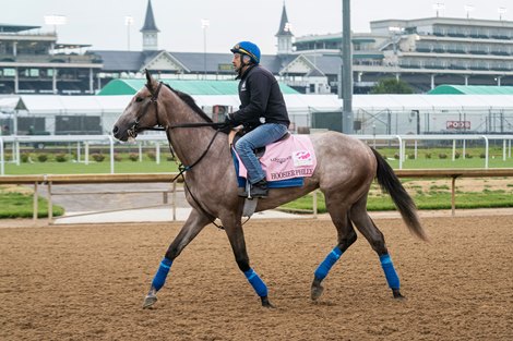 Hoosier Philly - Work - CD - 042923