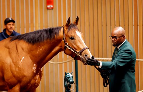 Hip 76, Talladega, 2023 Keeneland April Selected Horses of Racing Age Sale