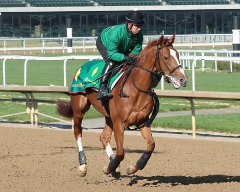 Derma Sotogake - Gallop - Churchill Downs - 04-11-23