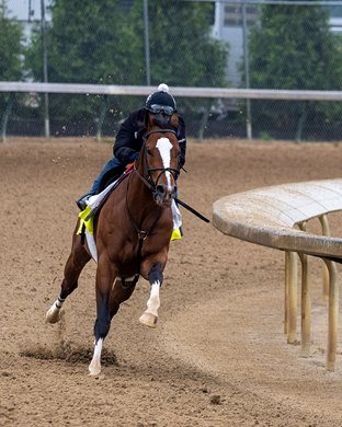Cyclone Mischief training at Churchill Downs in Louisville, Ky., on April 29, 2023.