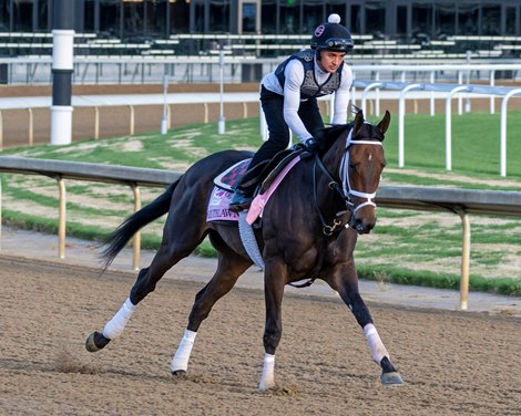 Southlawn at Churchill Downs in Louisville, Ky., on April 30, 2023