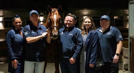 Lot 300, 2023 Inglis HTBA Yearling Sale