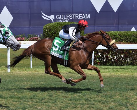 Amazing Grace wins the 2023 Orchid Stakes at Gulfstream Park