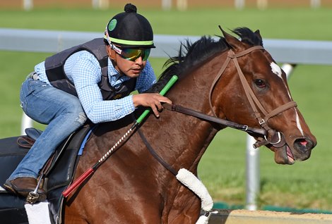 Gotham Stakes winner Raise Cain working five furlong work at Keeneland