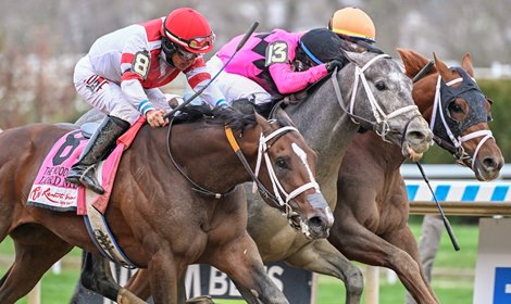 Lord Miles with jockey Paco Lopez aboard  came up on the outside of the field to win the 98th running of The Wood Memorial at 99-1 odds at Aqueduct Park in Queens, N.Y. Saturday April 8, 2023. Photo by Skip Dickstein