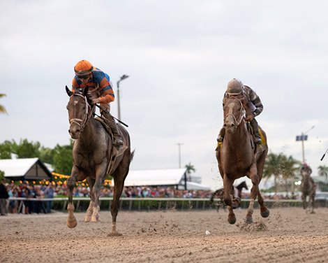 Forte wins the 2023 Florida Derby at Gulfstream Park