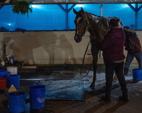 Verifying bath scene<br><br />
Horses training at Churchill Downs in Louisville, Ky., on April 29, 2023.