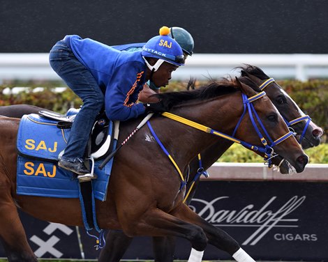 Lord Miles - Work - Gulfstream Park - 042123