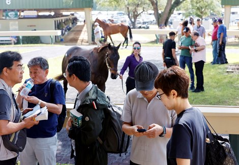 Scenics, 2023 OBS Spring Two-Year-Olds in Training Sale