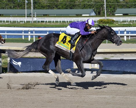 Affirmative Lady wins the 2023 Gulfstream Park Oaks at Gulfstream Park