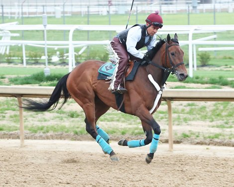 Flying Connection - Gallop - Churchill Downs - 041423