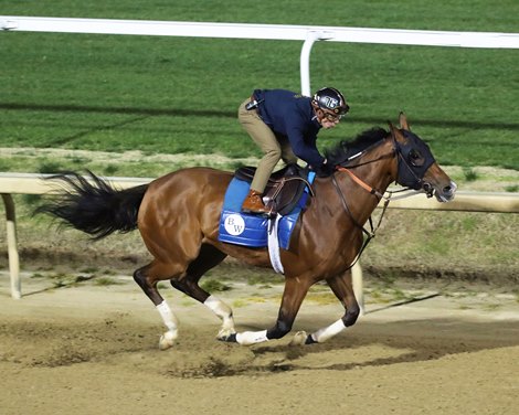 Pretty Mischievous - Work - Churchill Downs - 041423