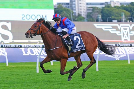 Dubai Honour wins the 2023 Queen Elizabeth Stakes at Randwick Racecourse<br>
ridden by Tom Marquand and trained by William Haggas