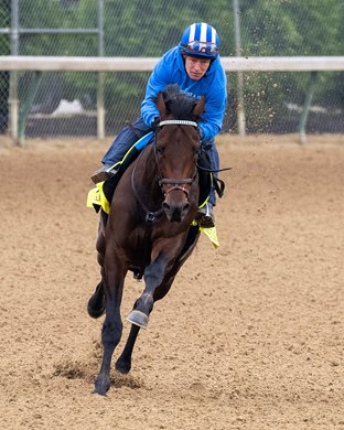 Confidence Game with James Graham working at Churchill Downs in Louisville, Ky., on April 29, 2023.