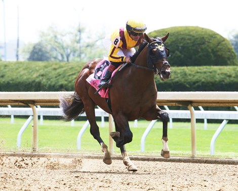 American Rascal - Maiden Win, Keeneland, April 20. 2023