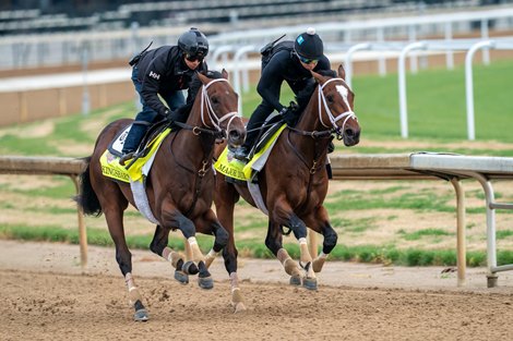 Kingsbarns - Major Dude - Work - CD - 042923