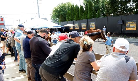 Scenics, 2023 Fasig-Tipton Midlantic 2 YO-in Training Sale