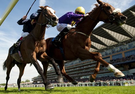 Ascot 17.6.10 Pic:Edward Whitaker Rite of Passage (right) beats Age Of Aquarius to win the Ascot Gold Cup