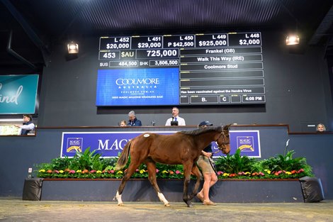 2023 Gold Coast National Weanling Sale, Lot 453