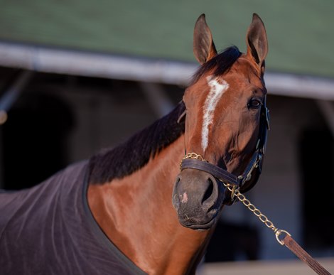 Julia Shining, May 3, 2023, Churchill Downs