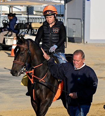 Coffeewithchris hit the track for a morning workout with trainer and co-owner John Salzman Sr.  at Pimlico Speedway on Thursday, May 18, 2023 in Baltimore, MD.  Skip Dickstein's photo