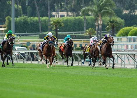 CRK Stable's Exaulted and jockey Juan Hernandez take off for home and go on to win the Grade I $500,000 Shoemaker Mile Monday, May 29, 2023 at Santa Anita Park, Arcadia, CA.<br>
Benoit Photo