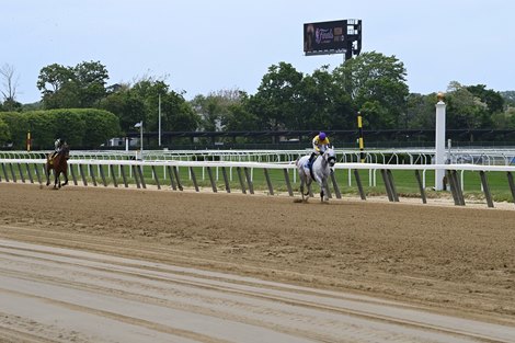 Pharoah&#39;s Heart - Honey Money - AOC - R03 - Belmont Park - 051923