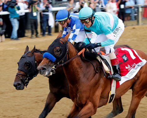 National Treasure and John Velazquez win the 148th Running of the Preakness Stakes (GI) at Pimlico on May 20, 2023. Photo By: Chad B. Harmon