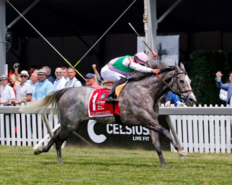 Whitebeam with Irad Ortiz Jr. win the 72nd Running of the Gallorette Stakes (GIII) at Pimlico on May 20, 2023. Photo By: Chad B. Harmon