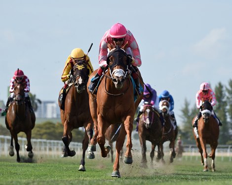 Crimson Advocate wins the 2023 Royal Palm Juvenile Fillies Stakes at Gulfstream Park