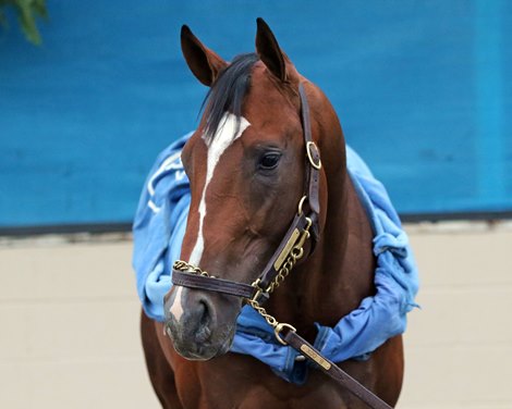 Verifying getting a bath at Churchill Downs on May 1, 2023. Photo By: Chad B. Harmon