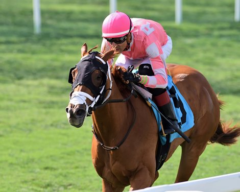 Crimson Advocate wins the 2023 Royal Palm Juvenile Fillies Stakes at Gulfstream Park