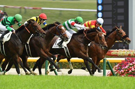 2023 Japanese Derby won by Tastiera, ridden by Damian Lne, trained by Noriyuki Hori, and owned by Carrot Farm Co., Ltd. The second horse from right is Tastiera in green cap. Photos by Katsumi Saito