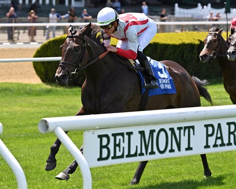 Marketsegmentation wins the Beaugay Stakes on Sunday, May 7, 2023 at Belmont Park