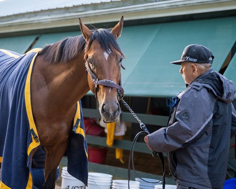 National Treasure<br>
Horses training at Pimlico Racecourse in Baltimore, Md., on May 18, 2023.