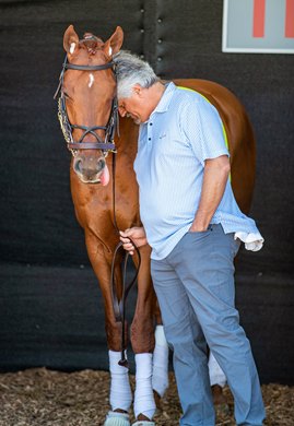 Pre-Derby afternoon paddock schooling for Disarm and Steve Asmussen at Churchill Downs in Louisville, Kentucky.