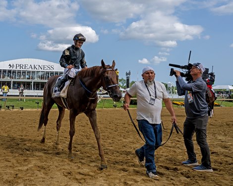 Rattle N Roll enters Jockey Club Gold Cup in peak form; McKulick faces  three in Flower Bowl - Brisnet